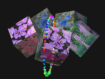 Download Flower wallpaper