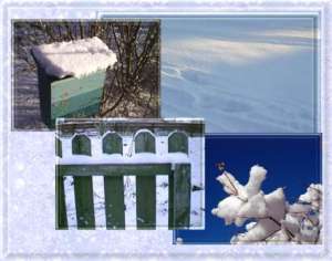 Download Christmas wallpaper