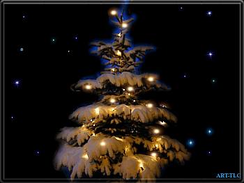 Download Tree Lights wallpaper