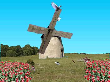 Download Little Windmill wallpaper