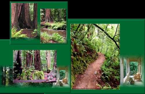 Download Nature wallpapers